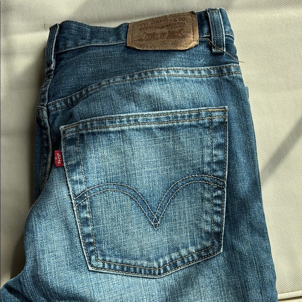 Levi's Men's Blue Jeans